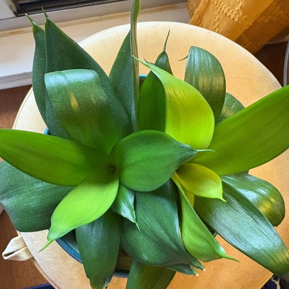 Meet your Posher, Tina ππ - Picture 1 of 1